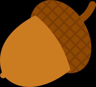 An acorn