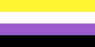 The non-binary pride flag.